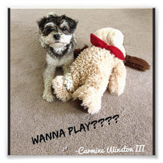 Speciaal gepersonaliseerde foto van mijn 6x6 afdruk