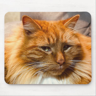 Speciaal Kat Nemo Mousepad Muismat