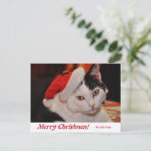 Speciaal kerstzwart en wit kat briefkaart (Staand voorkant)