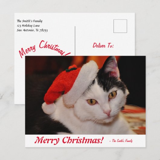 Speciaal kerstzwart en wit kat briefkaart (Voorkant / Achterkant)