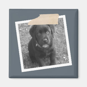 Speciaal ontwerp van tape- en fotoLijst Magneet