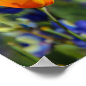 Speciaal Poster (Hoek)