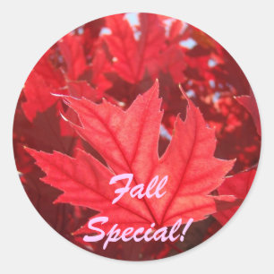 Spécial d'automne ! autocollants Feuille de feuill