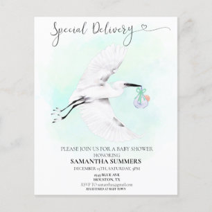 Special Delivery Watercolor Ooievaar Baby shower
