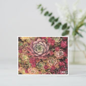 Special Edition Lena J Briefkaart (Staand voorkant)