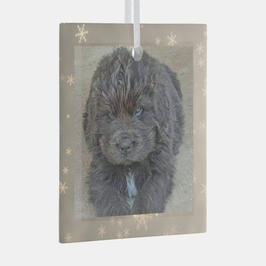 Special Order Carol B Gray Puppy Glass Ornament (Voorkant Rechts)