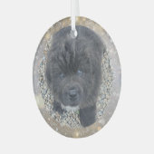 Special Order Gray Puppy Glass Ornament (Voorkant links)