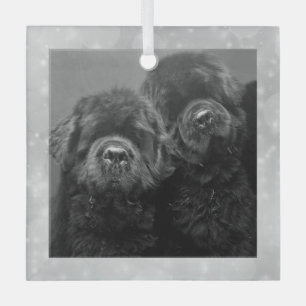 Special Order Twee Newfs Glas Ornament