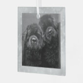 Special Order Two Newfs Glass Ornament (Voorkant links)