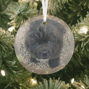 Speciale bestelling grijze puppy glazen kerstbal glas ornament