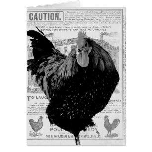 Speciale gevogelte van Baker