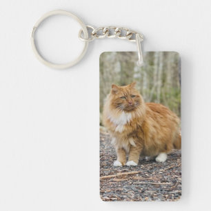 Speciale Kat Nemo Sleutelhanger