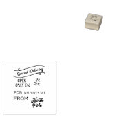 Speciale levering op Noordpool Rubberstempel (Gestempeld)