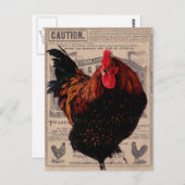 speciale pluimvee van Baker Briefkaart (Voorkant / Achterkant)