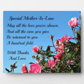 Speciale schoonmoeder fotoplaat (Voorkant)