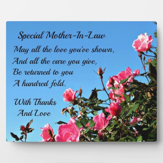 Speciale schoonmoeder fotoplaat (Voorkant)