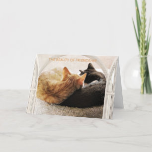 SPECIALE VRIEND HAPPY BIRTHDAY KAART