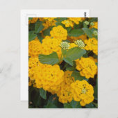 Speciale vriendelijke positieve gele bloemen aanmo briefkaart (Voorkant / Achterkant)