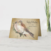 Speciale vrijdag voor de valk valcon Bird