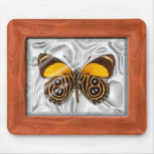 Specimen Box - Butterfly Muismat