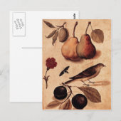 Spécimens de la carte postale Nature (Devant / Derrière)