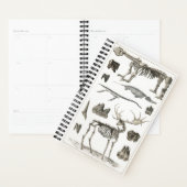 Spécimens de structures osseuses animales 2022 (Devant avec enveloppe)