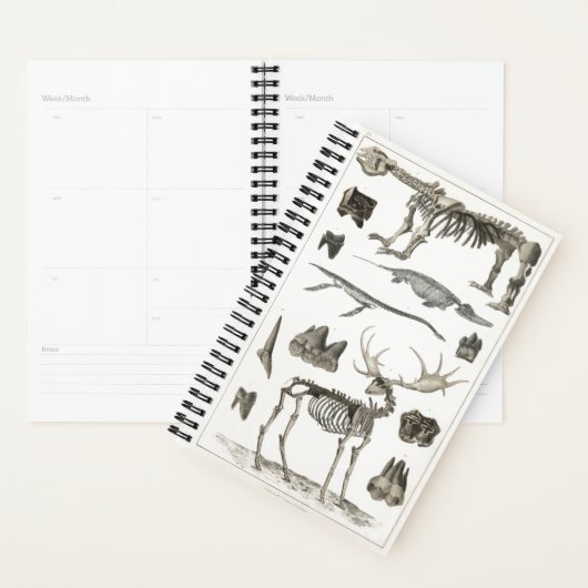 Spécimens de structures osseuses animales 2022 (Devant avec enveloppe)