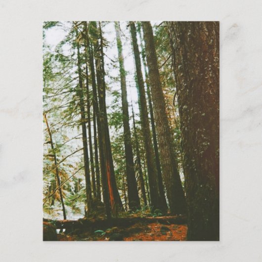 Speck Hoesje Flyer (Voorkant)