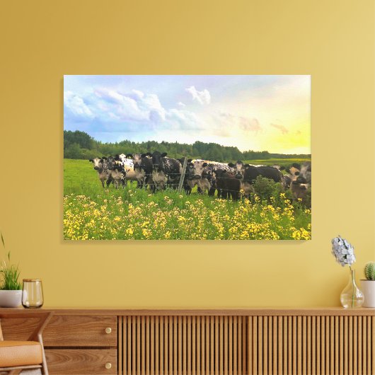 Speckle Park vee onder regendouche, zonsondergang  Canvas Afdruk (Insitu (Woonkamer))