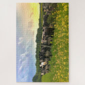 Speckle Park vee onder regendouche, zonsondergang  Legpuzzel (Verticaal)