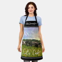 Speckle Park vee onder regendouche, zonsondergang 