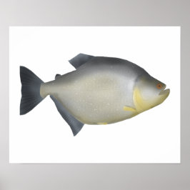 Speckled Piranha Poster
