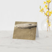 Speckles Kaart (Gele Bloem)