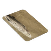 Speckles Magneet (Rechterzijde)