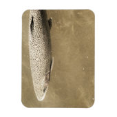 Speckles Magneet (Verticaal)