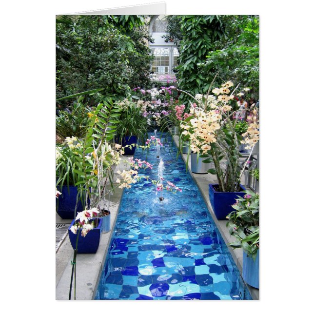 Spectacle d'orchidées (Devant)