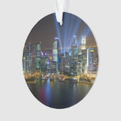 Spectacle lumineux du centre-ville de Singapour (devant)