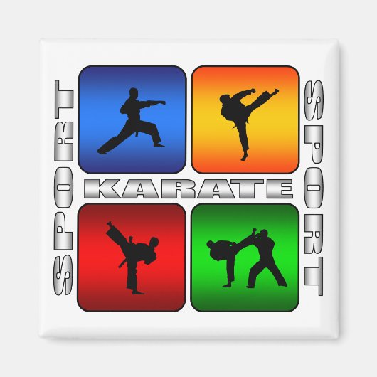 Spectaculair Karate Magneet (Voorkant)