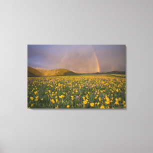 Spectaculair weiland met wilde bloemen bij zonsopg canvas afdruk