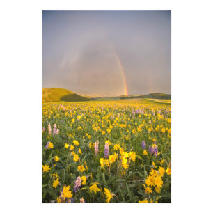 Spectaculair weiland met wilde bloemen bij zonsopg foto afdruk