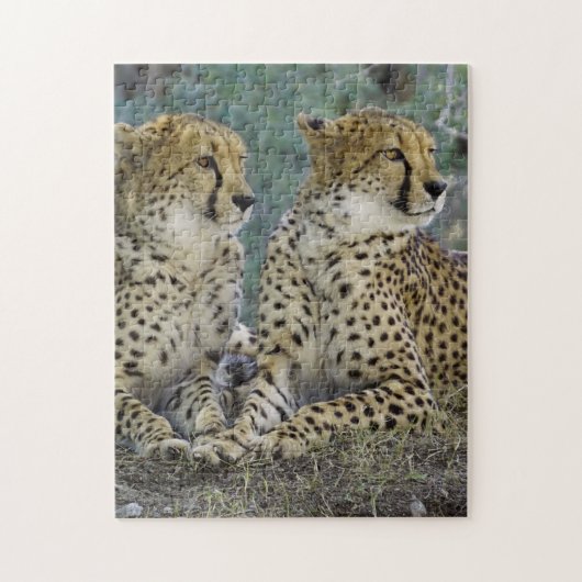 Spectaculaire Cheetah Legpuzzel (Verticaal)