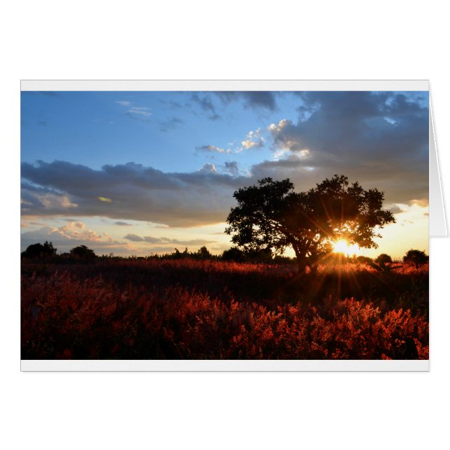 Spectaculaire coucher de soleil africain (Devant horizontal)