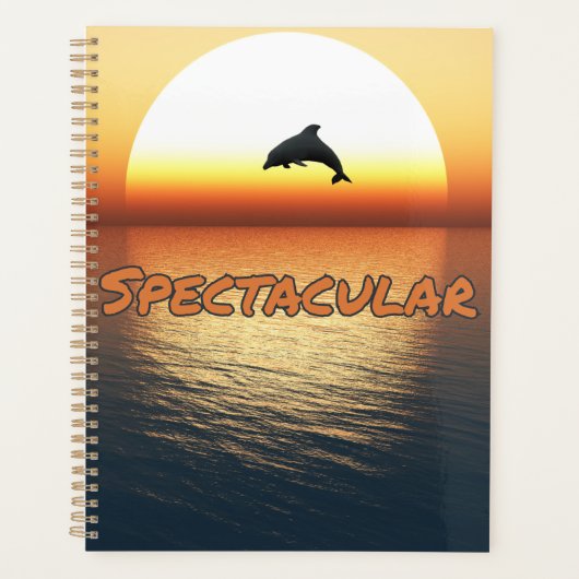 Spectaculaire Jumping Dauphin Calendrier Planifica (Devant)