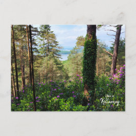 Spectaculaire Killarney- Ierland Briefkaart