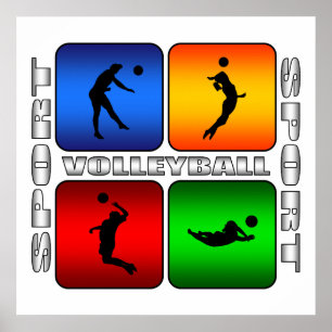 spectaculaire volleybal poster