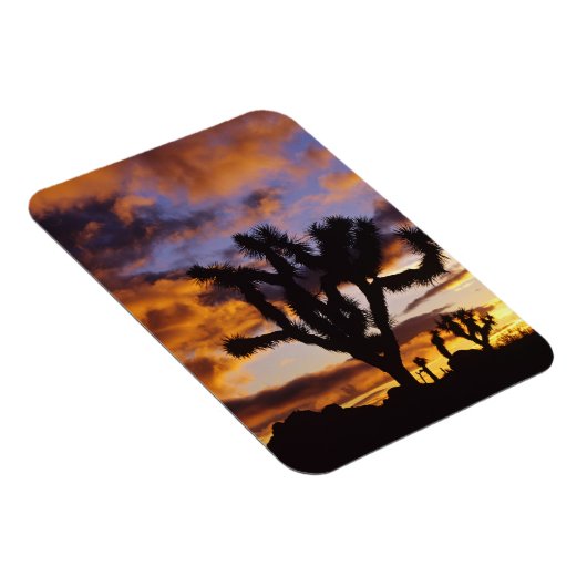 Spectaculaire zon in Joshua Tree National Park Magneet (Rechterzijde)