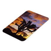 Spectaculaire zon in Joshua Tree National Park Magneet (Linkerzijde)