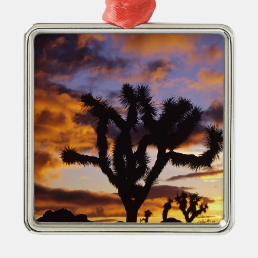 Spectaculaire zon in Joshua Tree National Park Metalen Ornament (Voorkant)