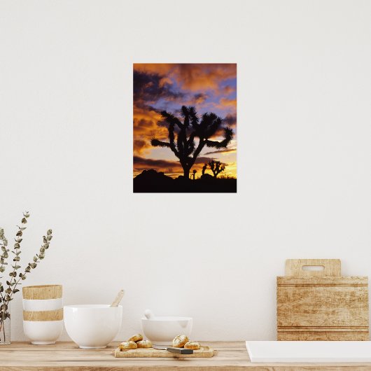 Spectaculaire zon in Joshua Tree National Park Poster (Keuken)