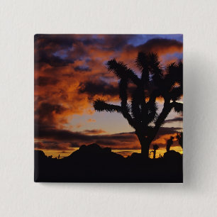Spectaculaire zonsopgang bij Joshua Tree National Vierkante Button 5,1 Cm